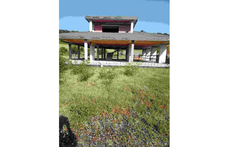 immagine annuncio 6 di 7