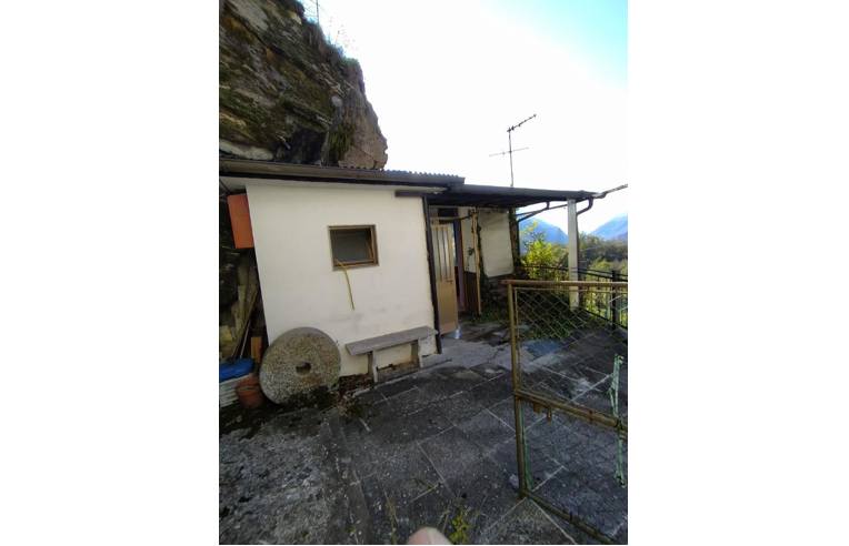 immagine annuncio 5 di 7