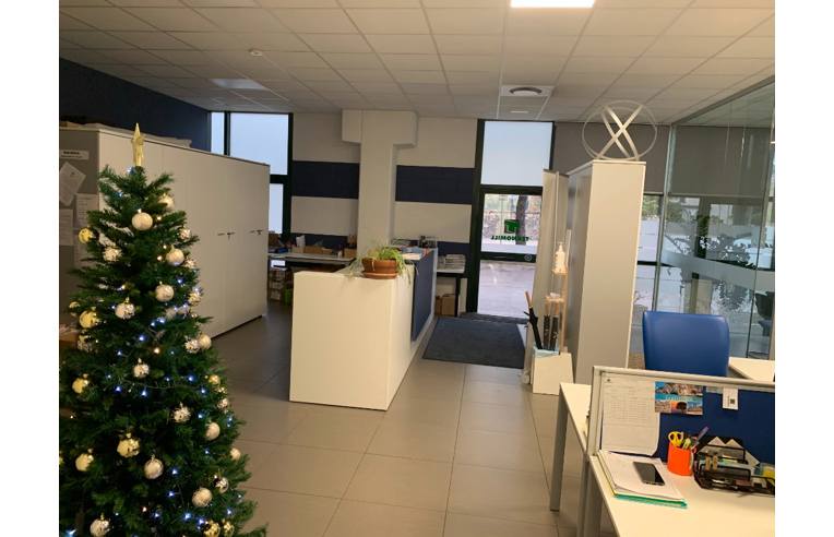 immagine annuncio 2 di 3