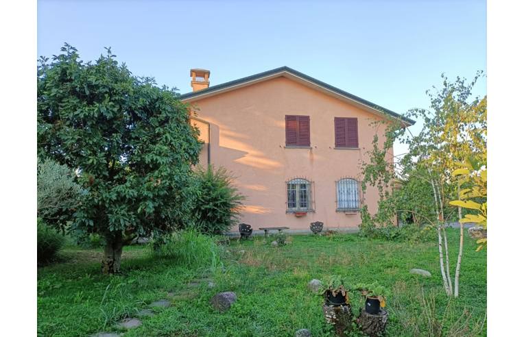 immagine annuncio 1 di 7