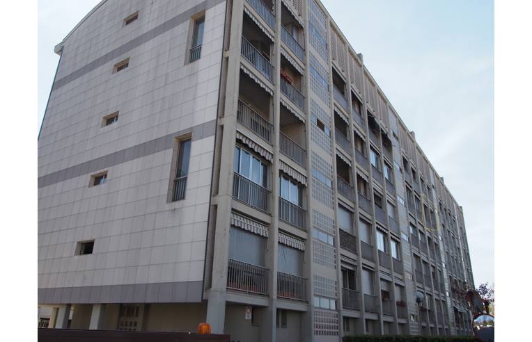 immagine annuncio 6 di 7