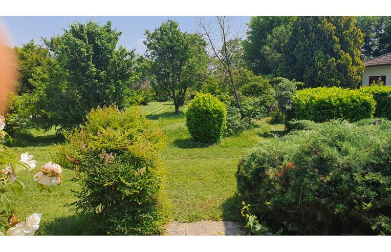 immagine annuncio 4 di 7