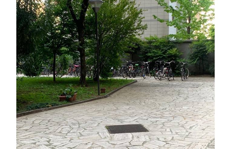 immagine annuncio 1 di 7