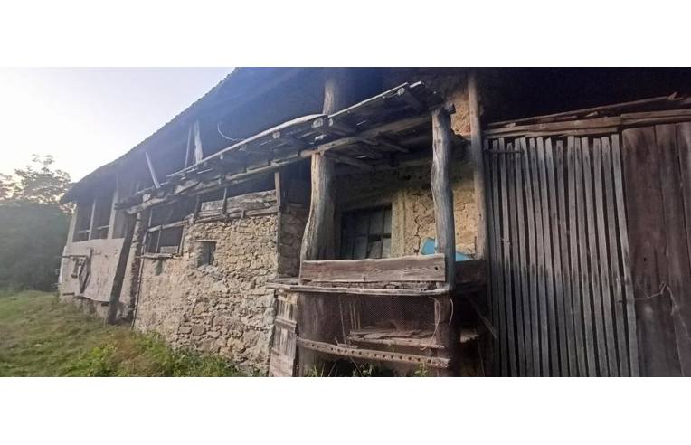 immagine annuncio 2 di 7