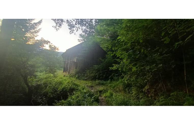 immagine annuncio 6 di 7