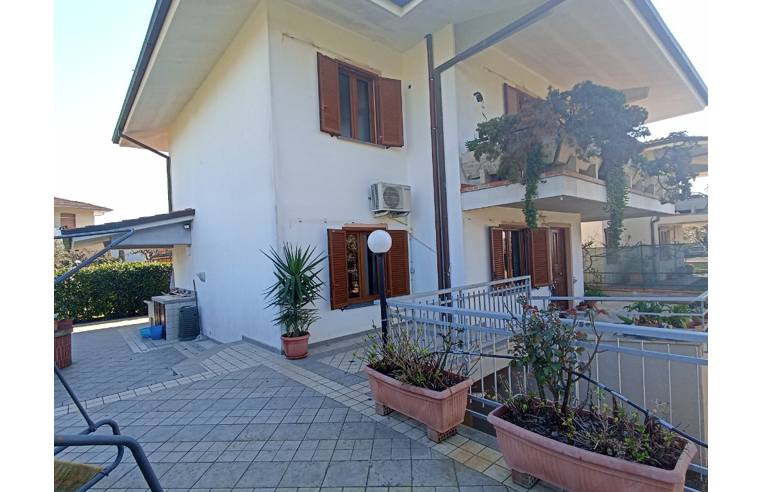 immagine annuncio 3 di 7