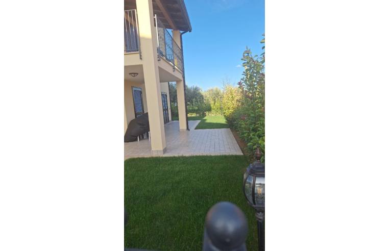 immagine annuncio 5 di 7