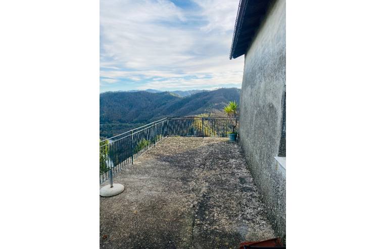 immagine annuncio 4 di 7