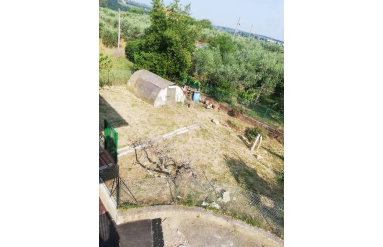 immagine annuncio 4 di 7