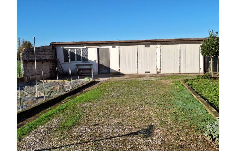 immagine annuncio 6 di 7