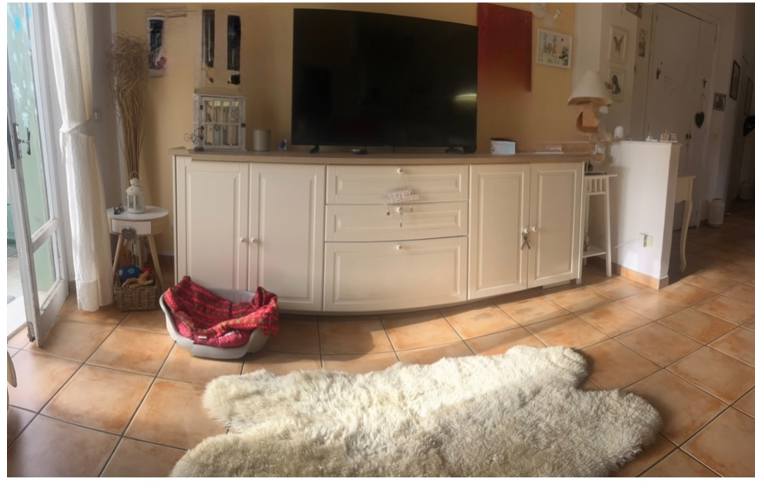 immagine annuncio 3 di 6