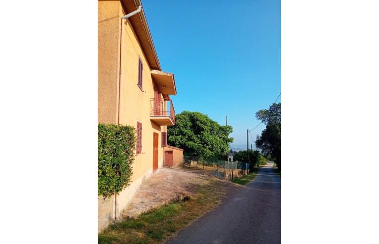 immagine annuncio 6 di 7