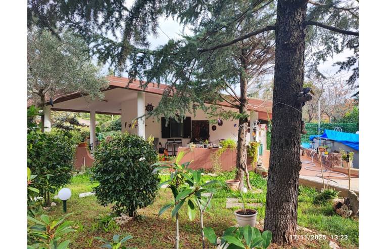 immagine annuncio 5 di 7