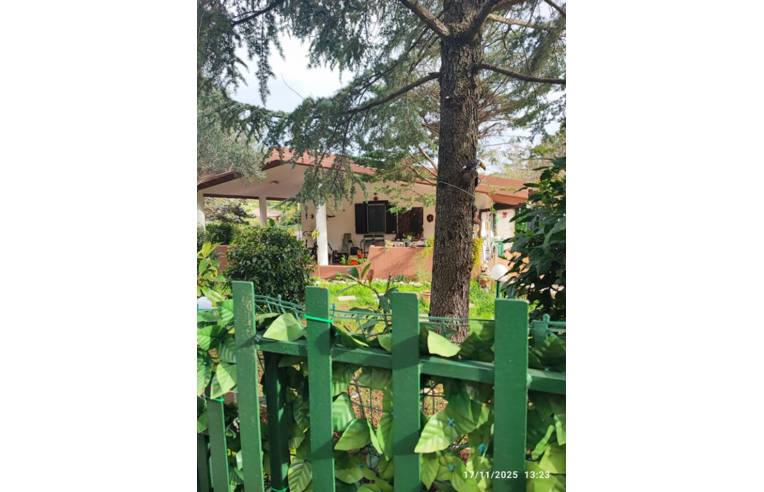 immagine annuncio 6 di 7