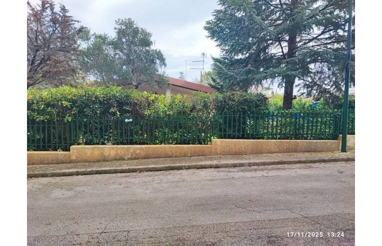 immagine annuncio 3 di 7