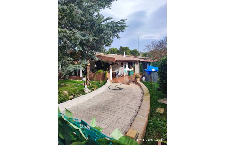 immagine annuncio 5 di 7