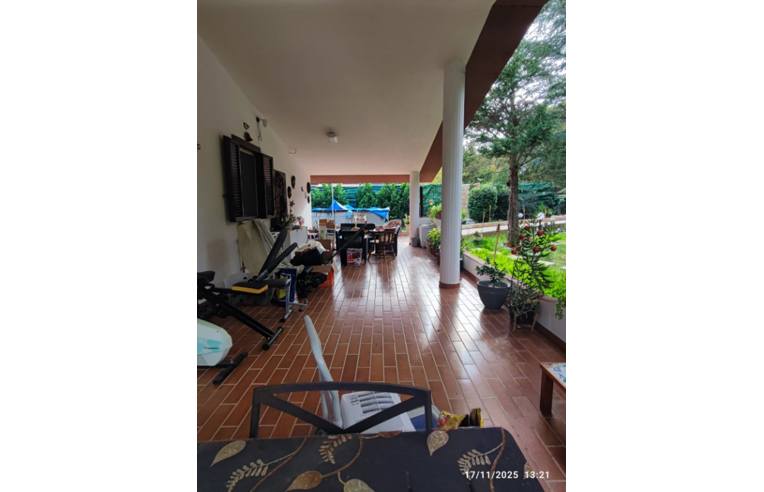 immagine annuncio 6 di 7