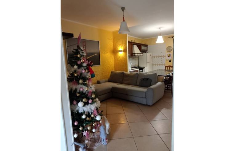 immagine annuncio 1 di 7