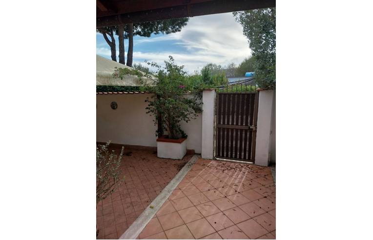 immagine annuncio 5 di 6