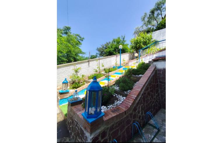 immagine annuncio 4 di 7