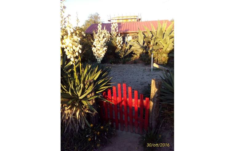 immagine annuncio 1 di 2