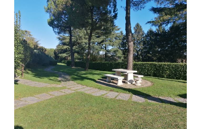 immagine annuncio 5 di 7