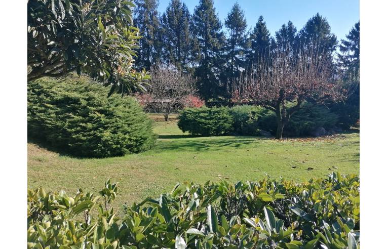 immagine annuncio 3 di 7