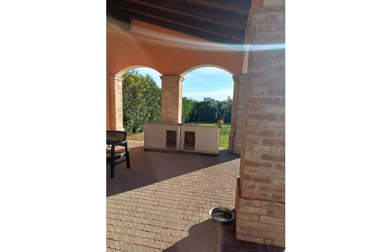 immagine annuncio 1 di 2