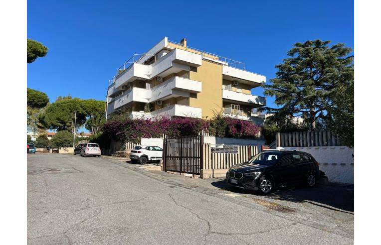 immagine annuncio 3 di 7