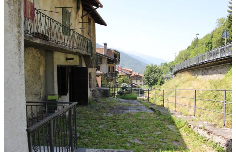 immagine annuncio 5 di 6