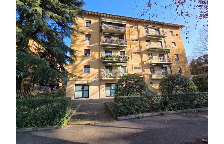 immagine annuncio 4 di 6