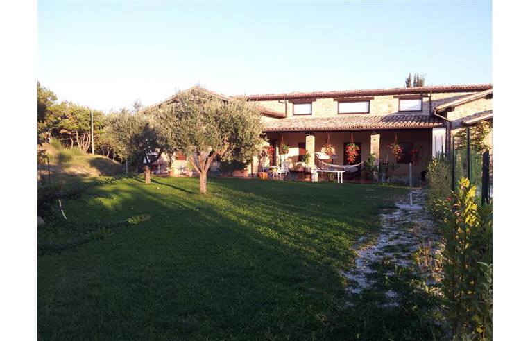 immagine annuncio 2 di 4