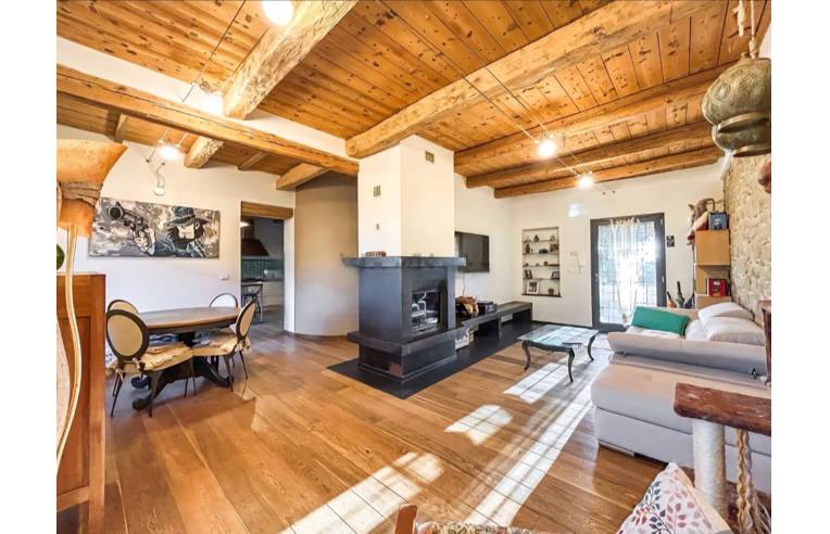 immagine annuncio 3 di 7