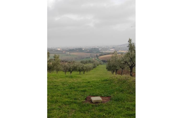 immagine annuncio 3 di 7