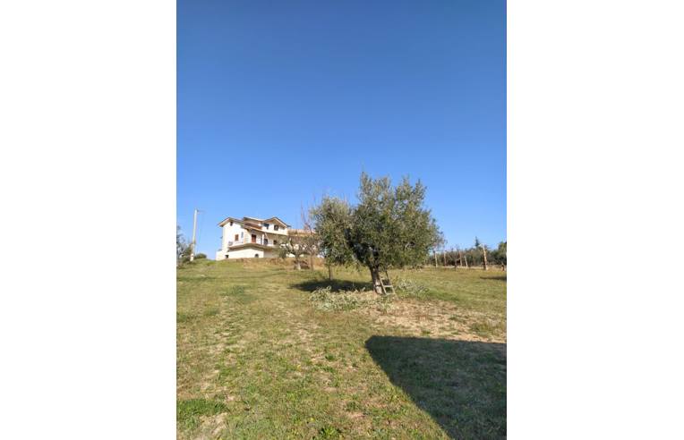 immagine annuncio 2 di 7