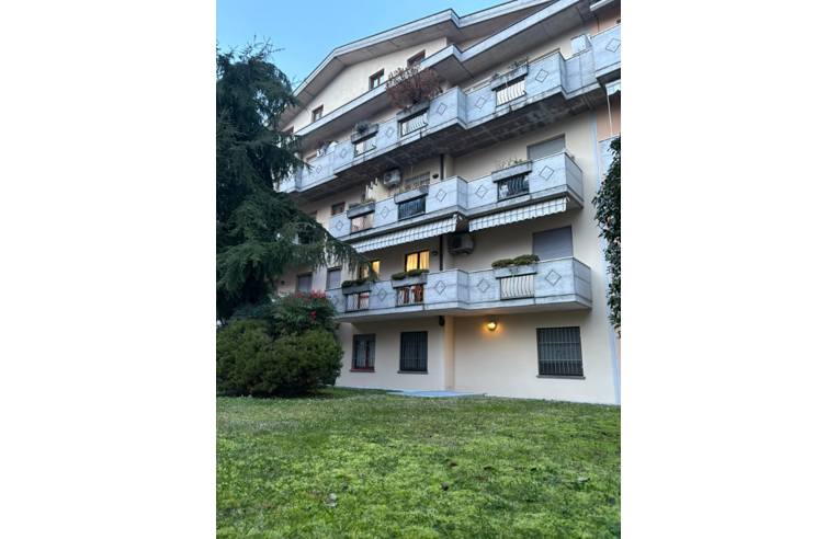 immagine annuncio 6 di 7