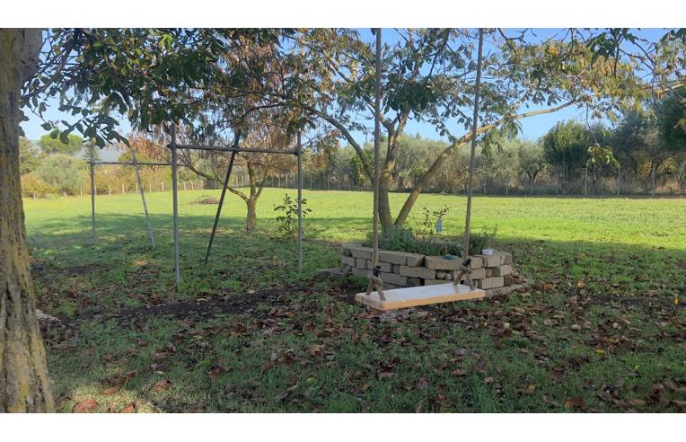 immagine annuncio 3 di 7