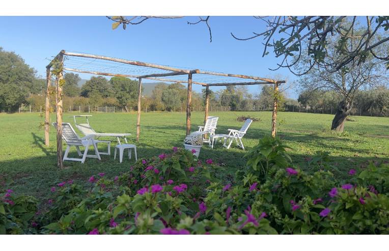 immagine annuncio 2 di 7