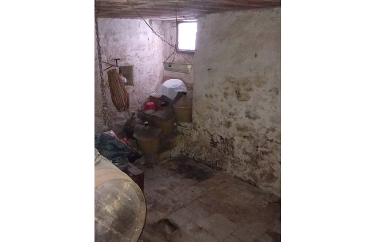 immagine annuncio 5 di 7