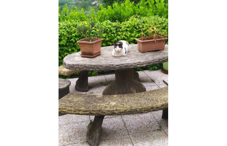 immagine annuncio 5 di 6