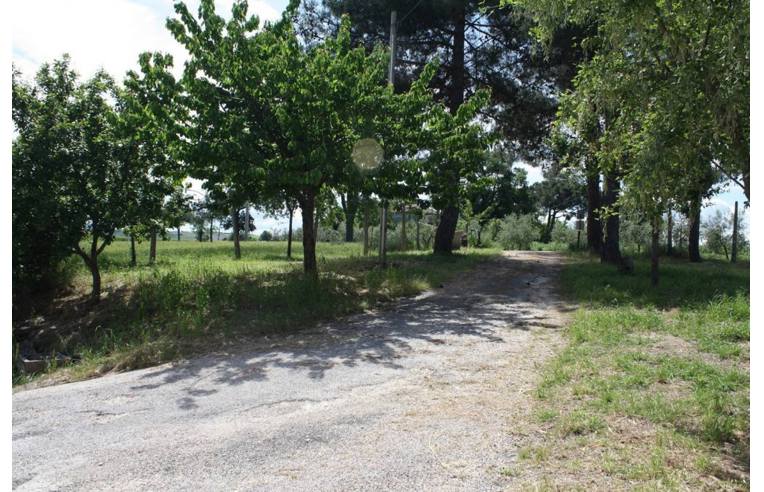 immagine annuncio 6 di 7