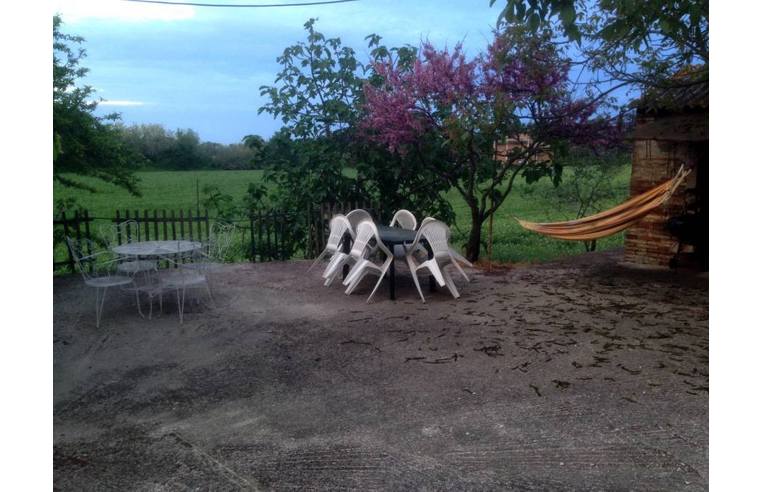 immagine annuncio 4 di 7