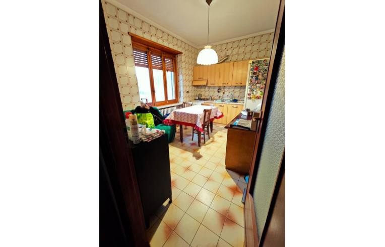 immagine annuncio 3 di 7