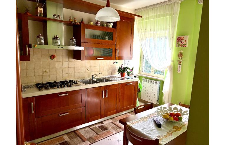 immagine annuncio 1 di 7