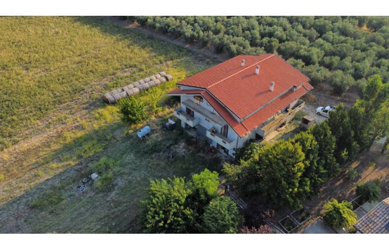 immagine annuncio 1 di 7