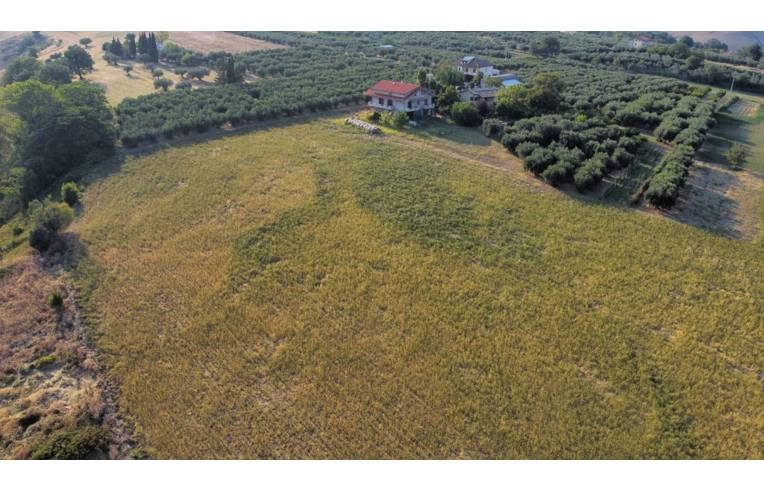 immagine annuncio 5 di 7