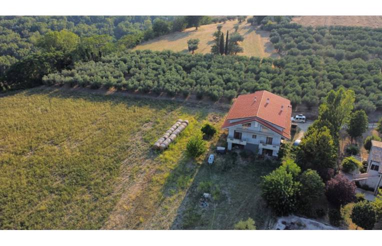 immagine annuncio 4 di 7