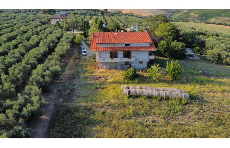 immagine annuncio 3 di 7