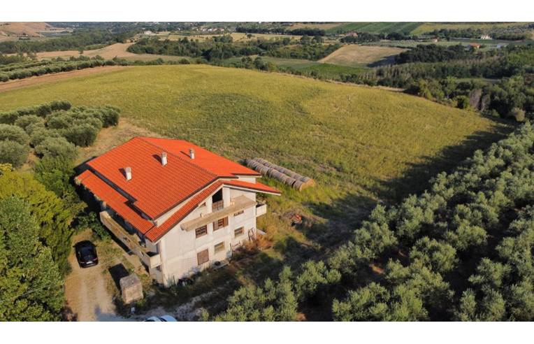 immagine annuncio 6 di 7