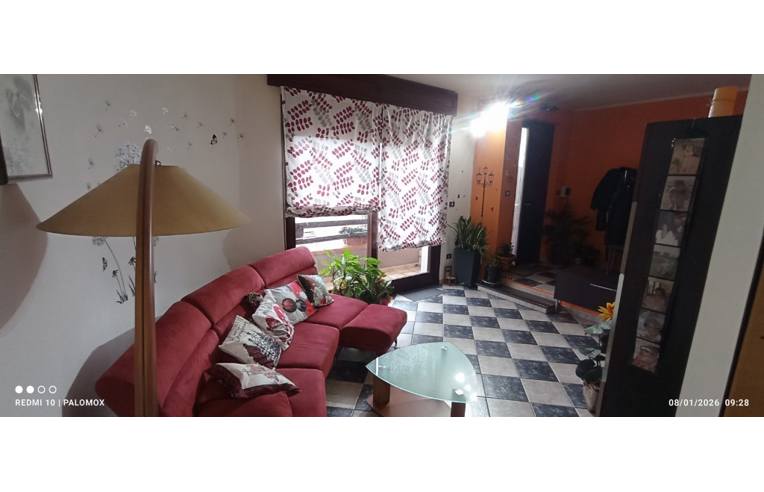 immagine annuncio 1 di 7